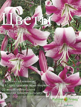  Цветы Весна 2014