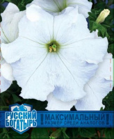Петуния Великая белая F1,серия Русский богатырь - купить с доставкой