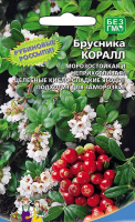 Брусника Коралл - купить с доставкой