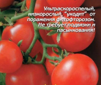 Томат Северная малютка - купить с доставкой