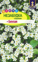 Незабудка Белая садовая - купить с доставкой
