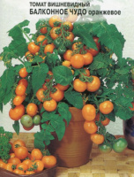 Томат Балконное Чудо (оранжевое) - купить с доставкой
