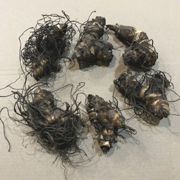 Стандарт поставки 3 Канна Вайоминг