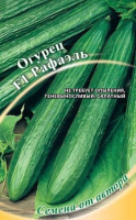 Огурец F1 Рафаэль  - купить с доставкой