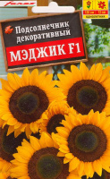 Подсолнечник декоративный Мэджик F1 - купить с доставкой