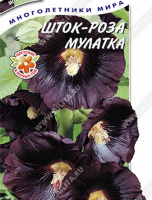 Шток-роза Мулатка - купить с доставкой