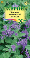 Котовник кистевидный Лавиль - купить с доставкой
