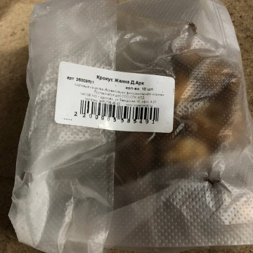 Стандарт поставки 4 Крокус Жанна Дарк