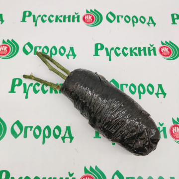 Стандарт поставки 3 Роза Эльф