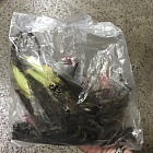 Лилейник гибридный Милдред Митчел