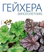Гейхера смесь  - купить с доставкой