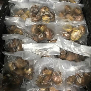 Стандарт поставки 1 Гладиолус Парпл флора