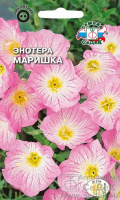 Энотера Маришка - купить с доставкой