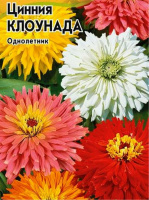 Цинния Клоунада, смесь - купить с доставкой