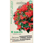 Красно-желтый