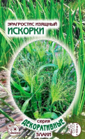 Эрагростис изящный Искорки - купить с доставкой