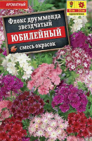 Флокс Юбилейный, смесь окрасок - купить с доставкой