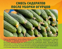 Смесь сидератов для Огурцов - купить с доставкой