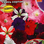 Смесь цветов