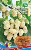 Шелковица (тутовник) Белая - купить с доставкой