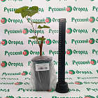 Виноград Кишмиш Велес