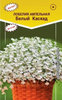 Лобелия ампельная белый Каскад - купить с доставкой