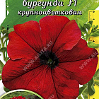 Темно-красный