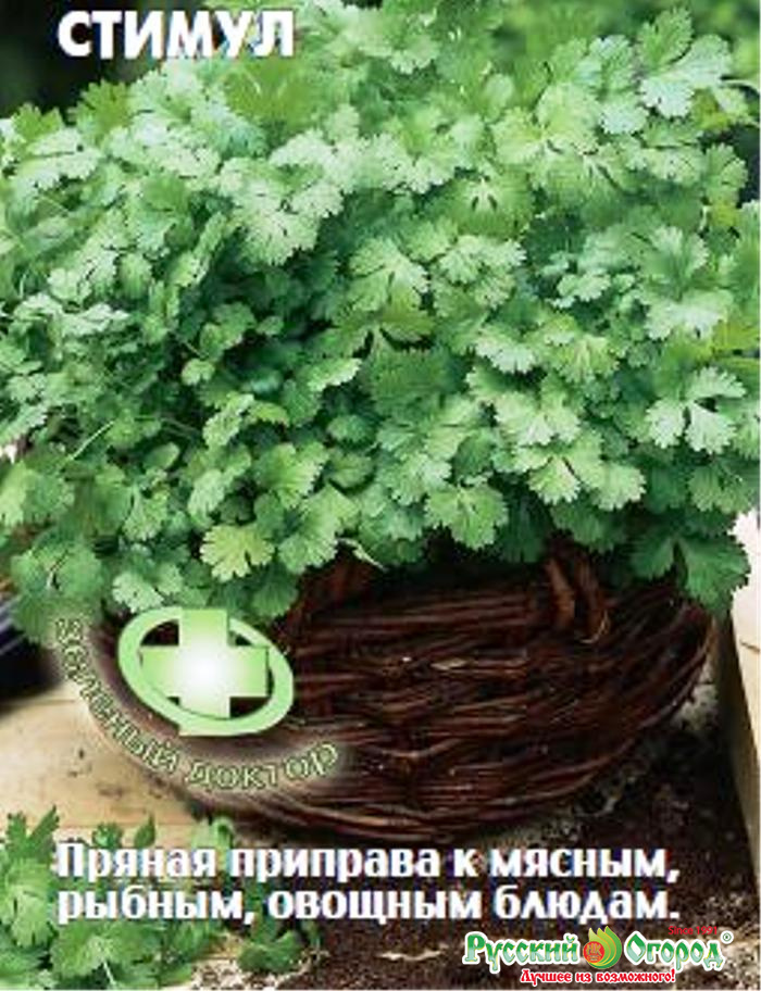 Газель цвет кориандр