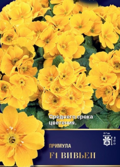 Примула Вивьен F1