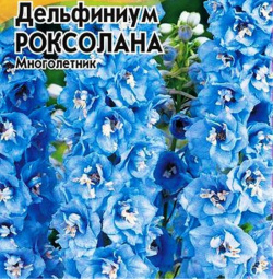 Дельфиниум Роксолана