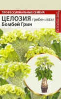 Целозия Бомбей Грин гребенчатая - купить с доставкой