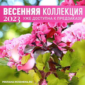 Весенняя коллекция уже в продаже!
