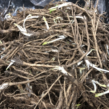 Стандарт поставки 2 Мак Уайт Раффлз