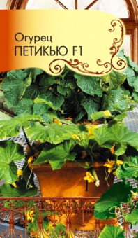 Огурец F1 Петикью (Огород на балконе!)