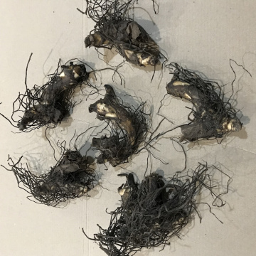 Стандарт поставки 1 Канна Ричард Уоллес