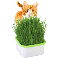 Выращиватель травки для кошек - купить с доставкой