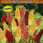 Смесь цветов