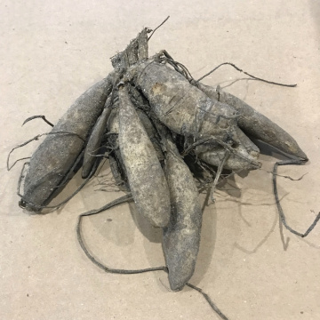 Стандарт поставки 6 Георгина Голден Эмблем