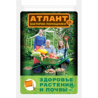 Атлант, 20г - купить с доставкой