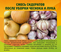 Смесь сидератов для Чеснока 1 кг. - купить с доставкой