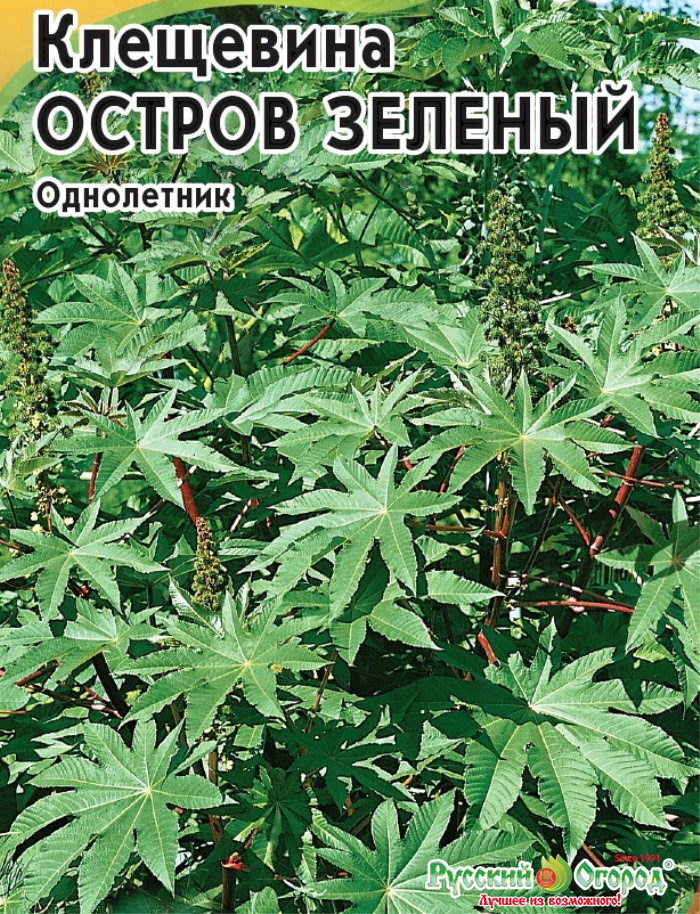 Клещевина остров зеленый