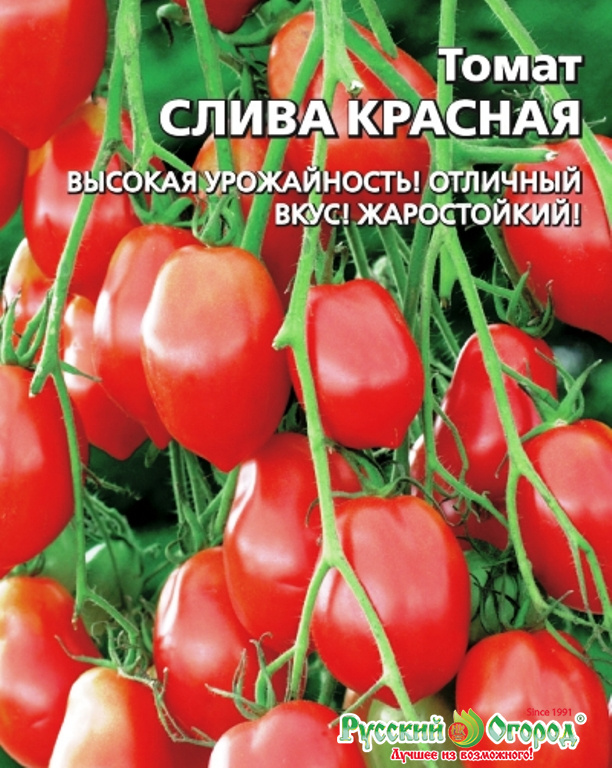 семена почтой недорого