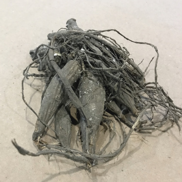 Стандарт поставки 8 Георгина Омега