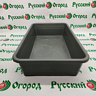 Серый