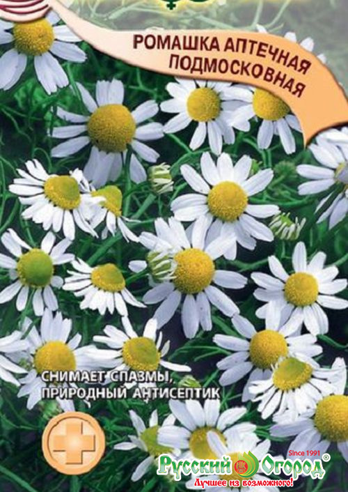 Семена Ромашка аптечная Подмосковная*: описание сорта, фото - купить с ...