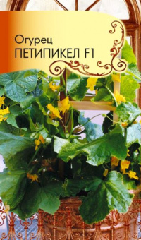 Огурец F1 Петипикел (Огород на балконе!)