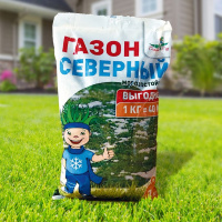 Газон Северный (морозостойкий) 1 кг. - купить с доставкой