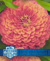 Цинния Великан лососевый серия Русский богатырь - купить с доставкой