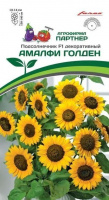 Подсолнечник Амалфи Голден F1 - купить с доставкой