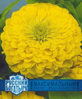 Цинния Великан желтый серия Русский богатырь - купить с доставкой